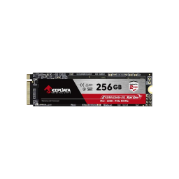 SSD M.2 256GB KEEPDATA PCIE GEN 3.0 X 4 NVME/KDNV256G-J12